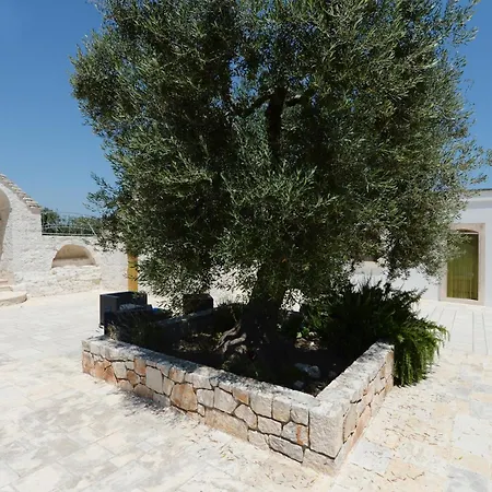 Agriturismo L'Aire Alberobello Exterior photo